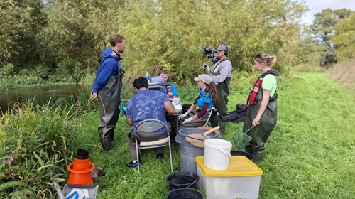 Salmon Tagging At River