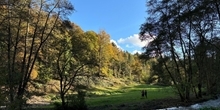 The Shropshire Fantasy Shoot Raffle