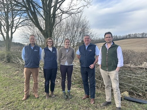 Allerton Press Release