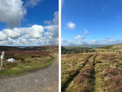 Student Blog Student Blog