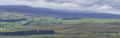 Upper Teesdale