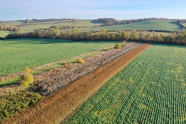 Winter Bird Seed Mixes Loddington