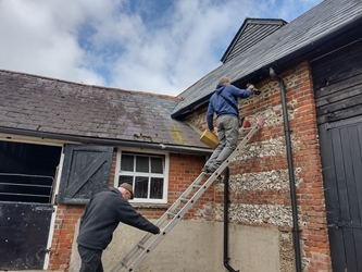 Installing Bird Boxes