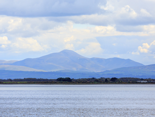 Solway Firth Canva