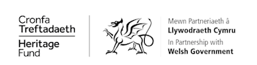 Wales Curlew Logos