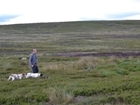 Dog walking awareness in the uplands