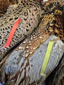 Pheasant ribbon tag