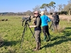 BBC Countryfile visits Bisterne Estate and features GWCT’s work with waders