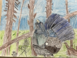 Winning Scottish Schools Artwork