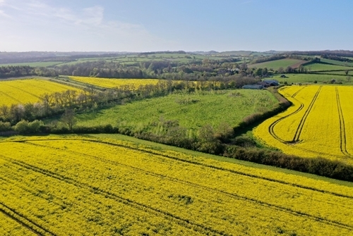 Allerton Field .png