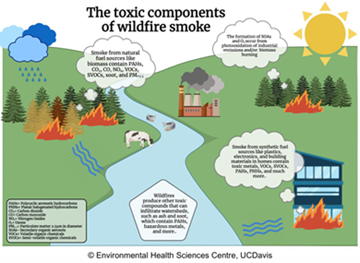Toxic components of wildfire smoke