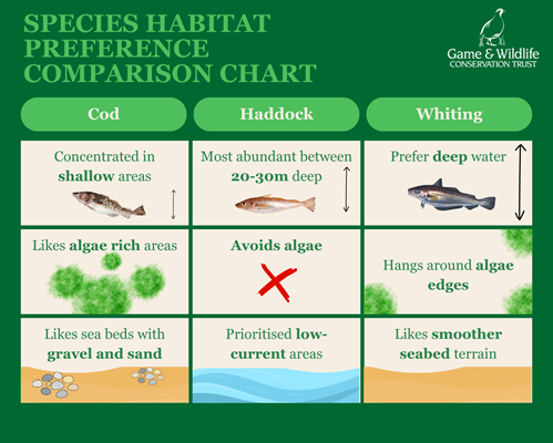 Fish Nursery Preferences Updated Fish Nursery Preferences Updated