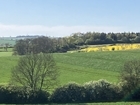 View from the Tractor - June
