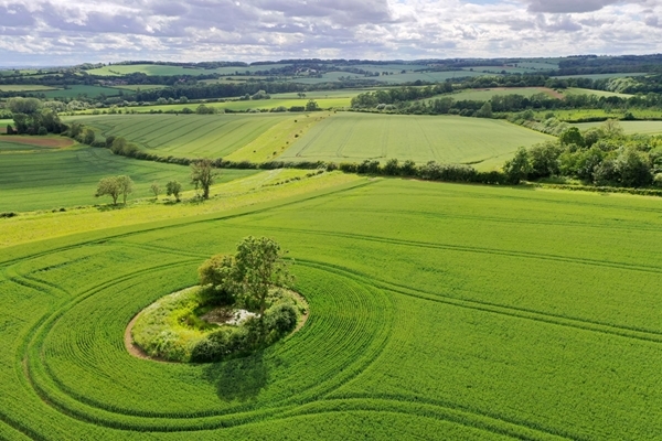 Loddington drone
