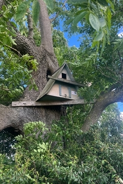 Barn owl box