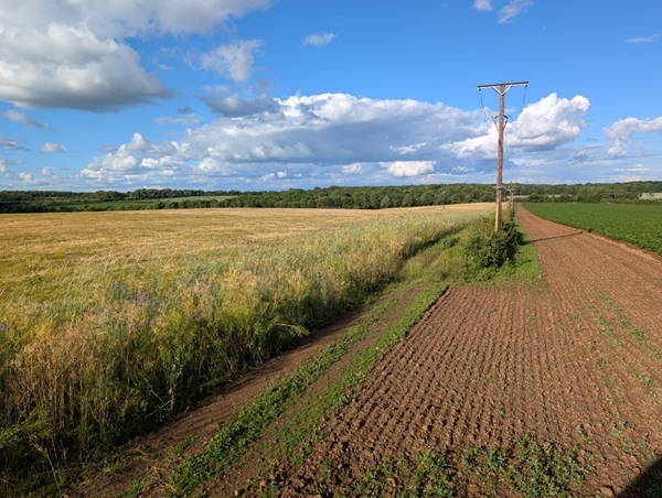 Advanced PARTRIDGE Mix