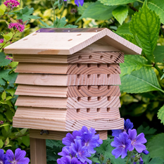 Solitary Bee Hive 2