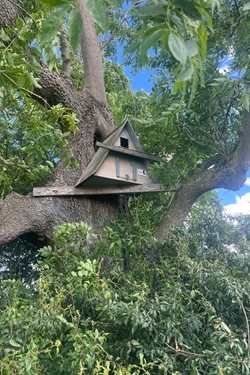 Barn owl box