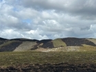 The hidden cost of Wales' wildfires