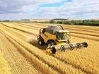 Harvest home early