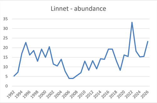 Linnet Abundance