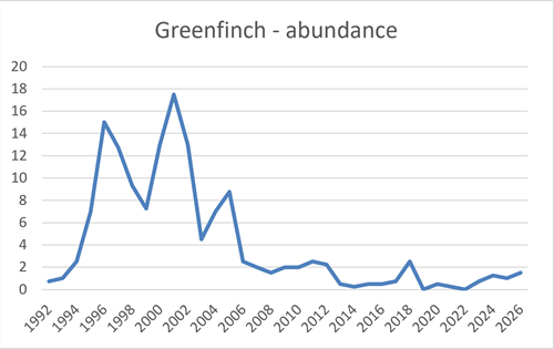 Greenfinch Abundance