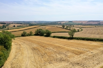 Loddington heatwave 2026