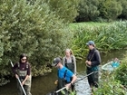 Riverbed caves in the River Frome and what I learnt whilst parr tagging in 2026
