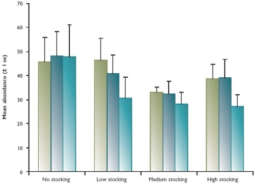 Abundance of adult (200mm) wild brown trout at upland sites by treatment, 2002-2004