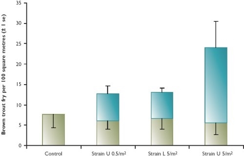 The mean contribution of farmed brown trout fry to the total fry population in upland rivers, by treatment