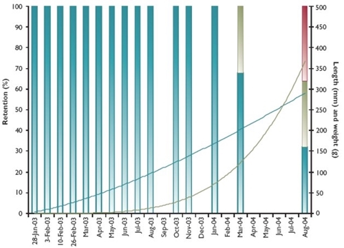 Length, weight and calcein retention in brown trout fry Length, weight and calcein retention in brown trout fry