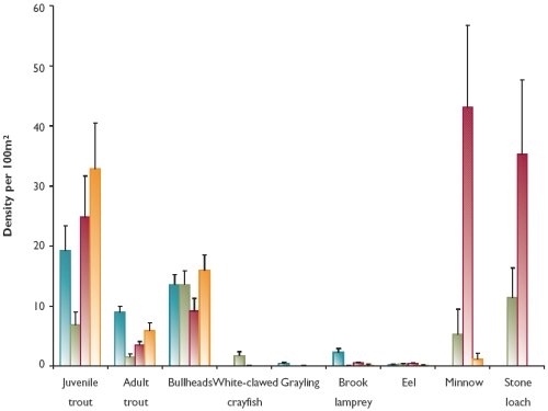 Baseline survey of the species in four tributaries of the River Monnow