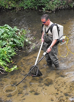 Electro-fishing