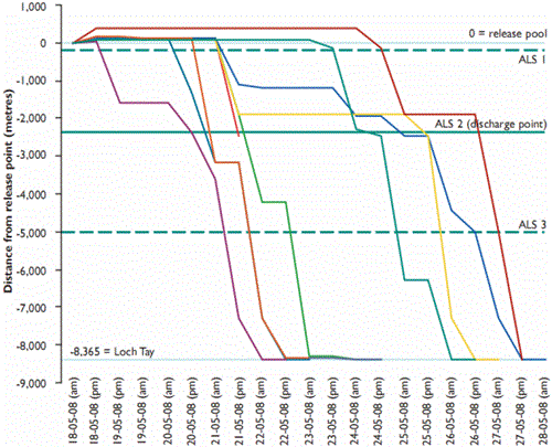 Movements of the nine salmon smolts tracked from the release pool, past the discharge point and into Loch Tay