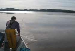 Poole Harbour
