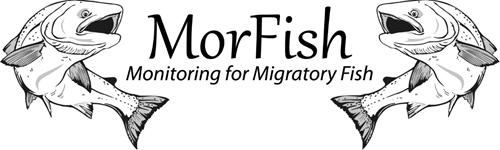 MorFish