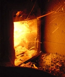 Wood fuel