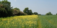 Nature Recovery Appeal