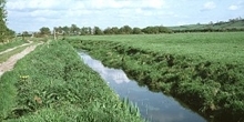 Ditch