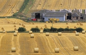 Arable land (www.lauriecampbell.com)