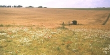 Field corners