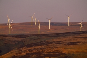 Wind farm (Copyright Laurie Campbell)