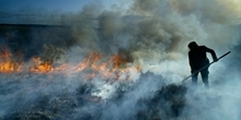 Carbon storage on grouse moors
