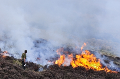 Muirburn www.lauriecampbell.com