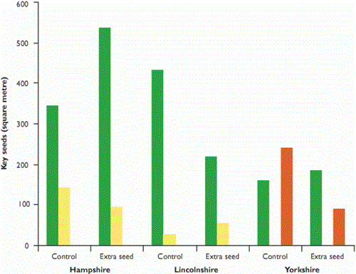 Mean density of seeds important for farmland birds (key seeds) in 40 control blocks and those receiving extra seed for the three study sites