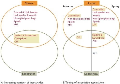 Significant relationships between insecticide use and invertebrate groups in Sussex and Loddington