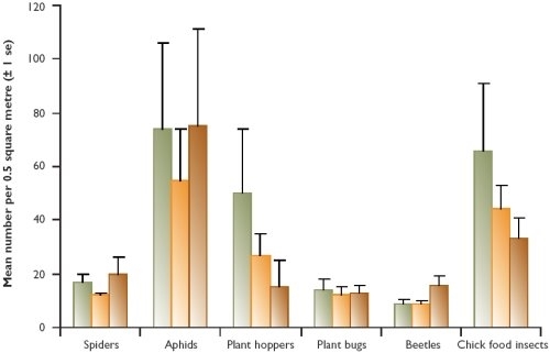 Bird food numbers in relation to set-aside management type Bird food numbers in relation to set-aside management type