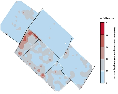 Distribution of boundary overwintering invertebrates during May