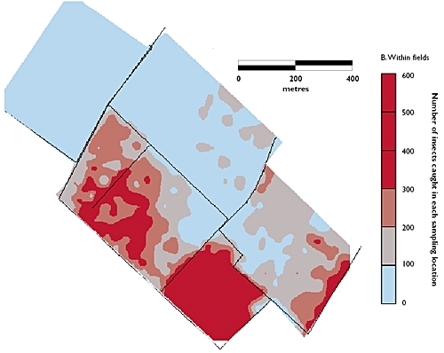 Distribution of field overwintering invertebrates during July