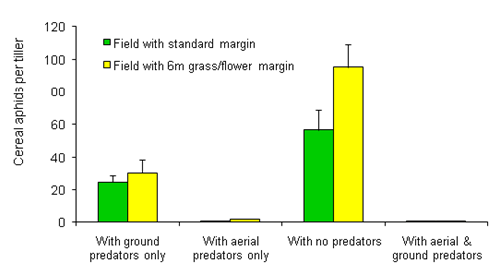 Aphid abundance in the presence of different guilds of predators
